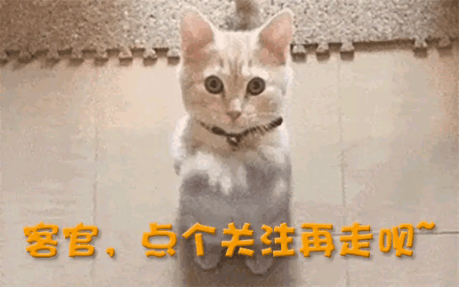 ！又一中产最爱的电商平台停运曾叫板淘宝！凯发k8国际首页登录烧光3000万美元(图5)