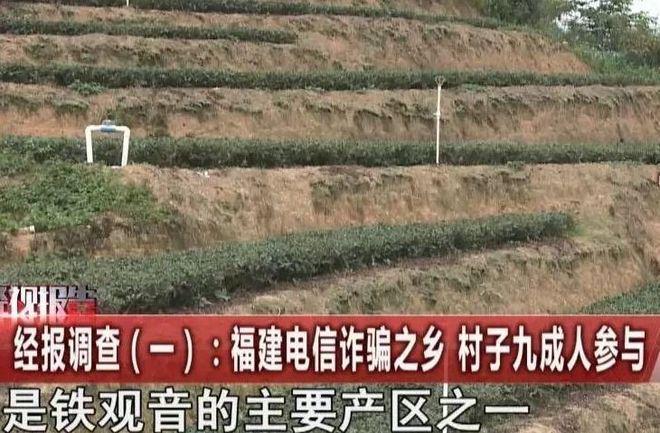 “十亿人民九亿骗还有一亿在锻炼”凯发平台【江湖】从驻马店、到安溪(图9)